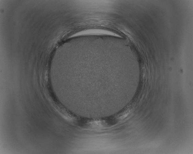 X0000070230499200605301459