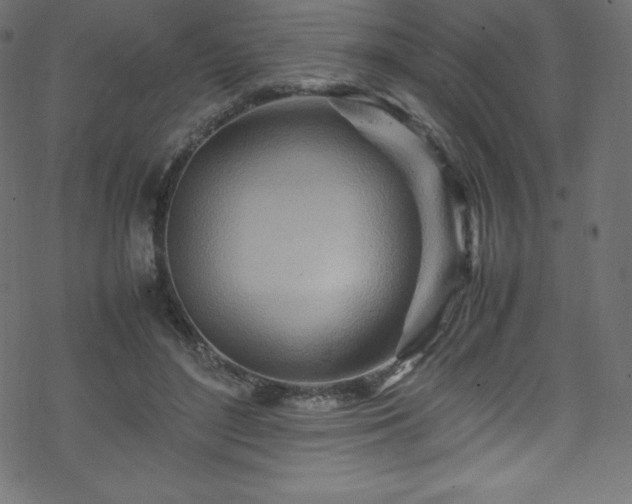 X0000070230500200605301459