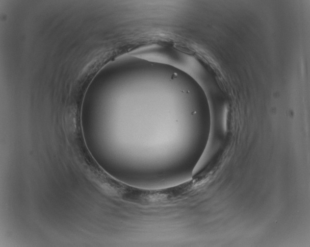 X0000070230501200605301459