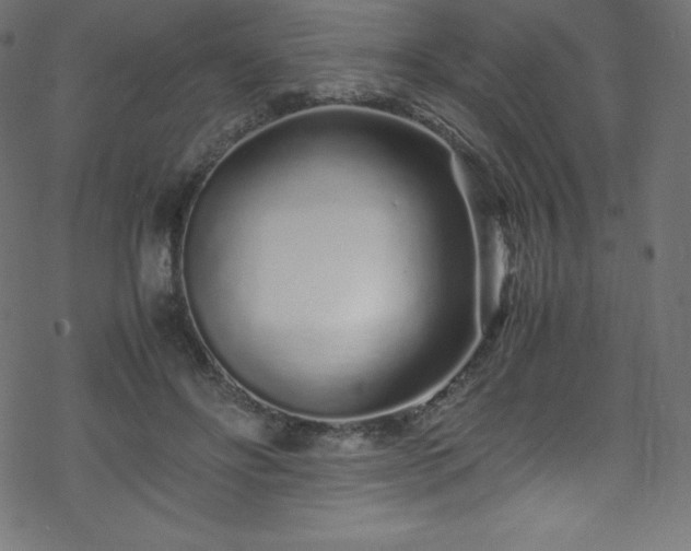 X0000070230502200605301459