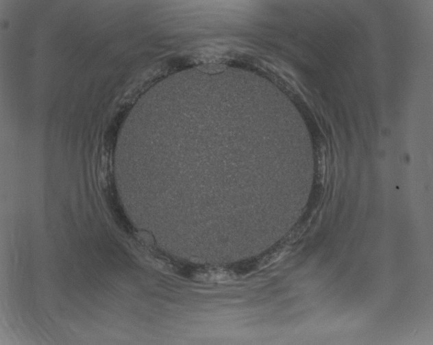 X0000070230503200605301459