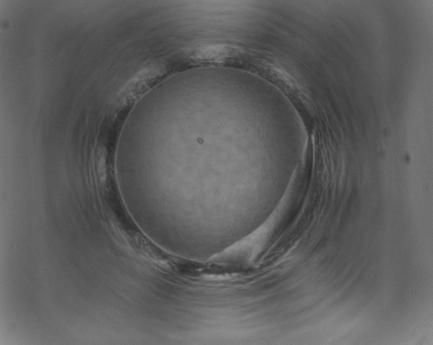 X0000070230504200605301459