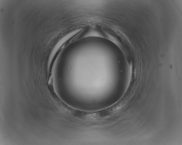 X0000070230505200605301459