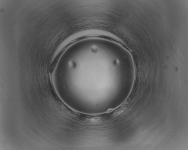 X0000070230506200605301459