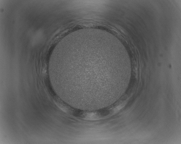 X0000070230507200605301459