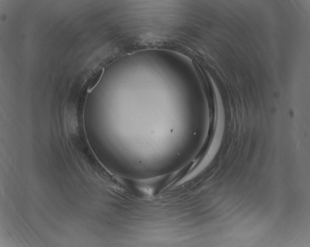 X0000070230508200605301459