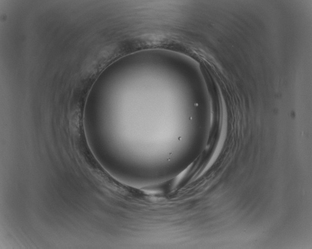 X0000070230509200605301459