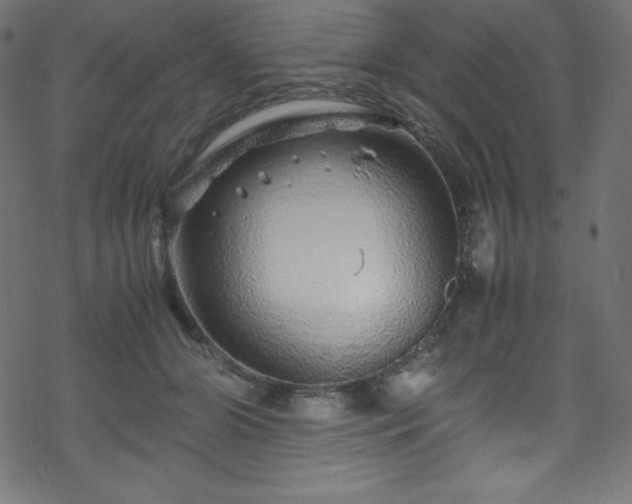 X0000070230510200605301459