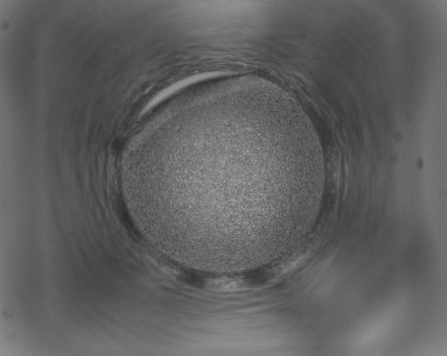 X0000070230511200605301459