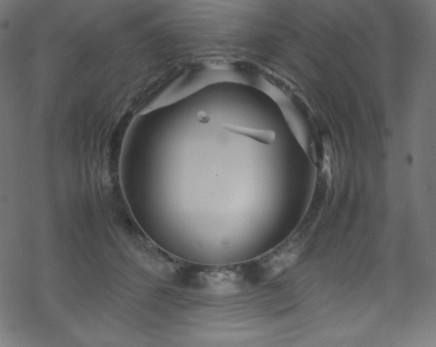 X0000070230512200605301459