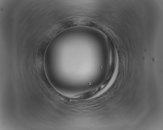 X0000070230513200605301459