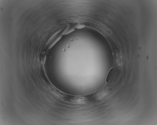 X0000070230514200605301459