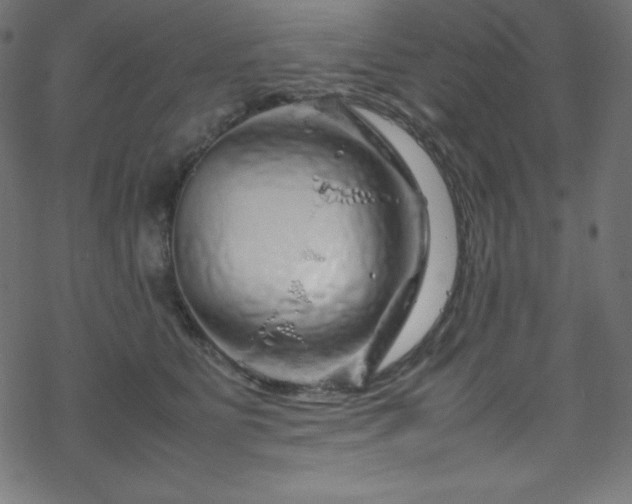 X0000070230515200605301459