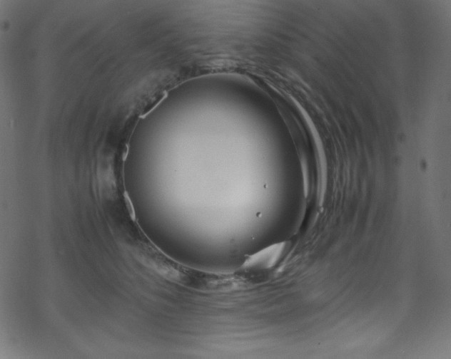 X0000070230516200605301459