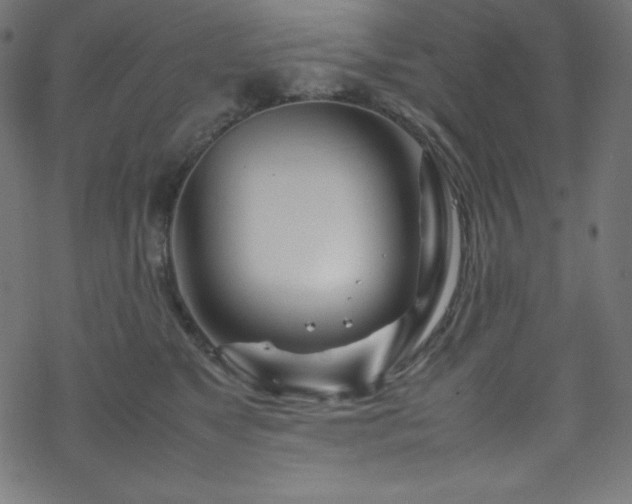 X0000070230517200605301459