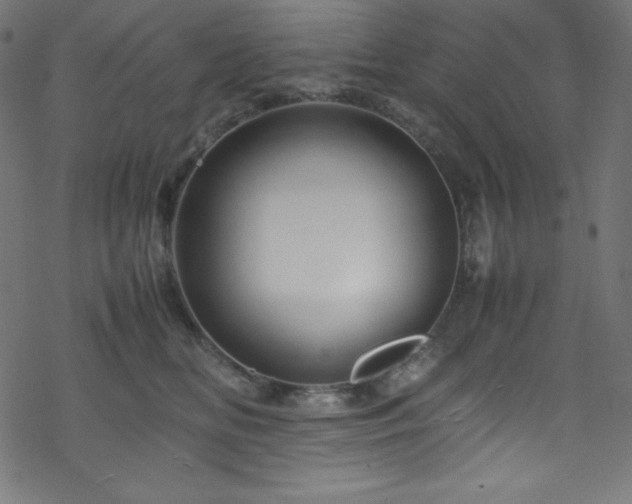 X0000070230518200605301459