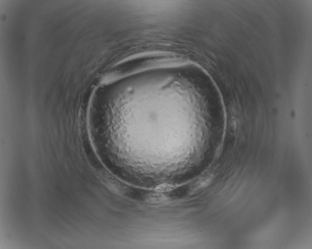 X0000070230519200605301459