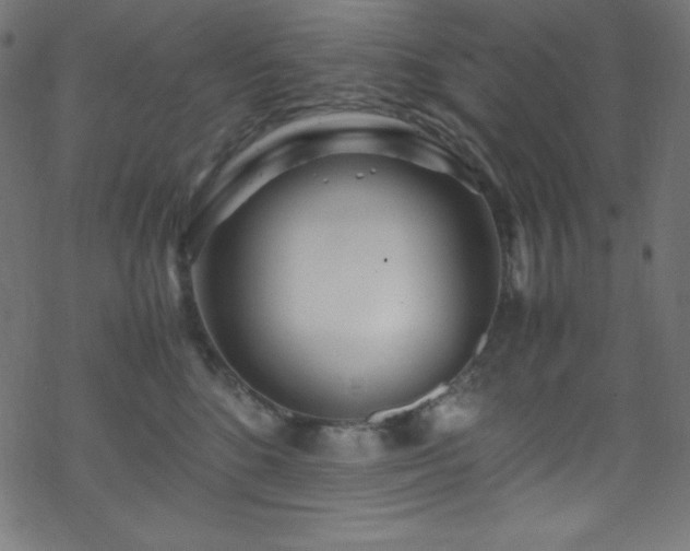 X0000070230520200605301459