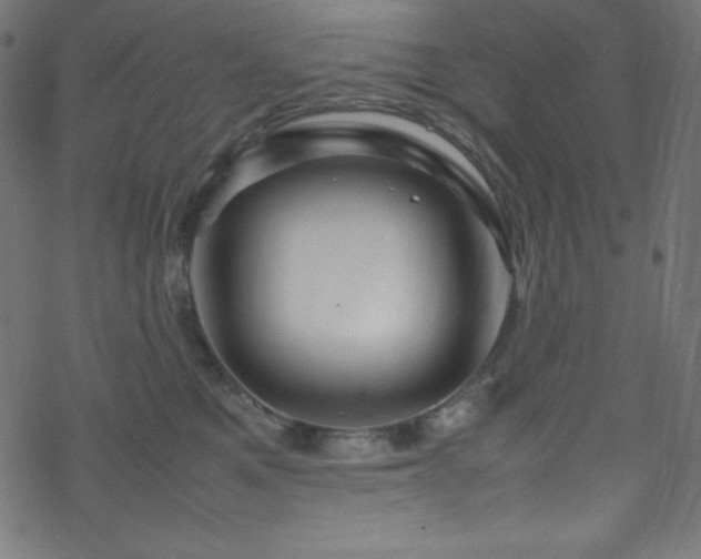 X0000070230521200605301459