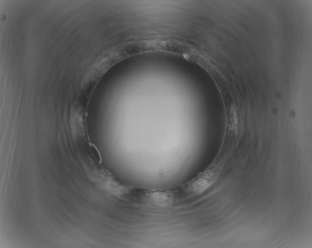 X0000070230522200605301459