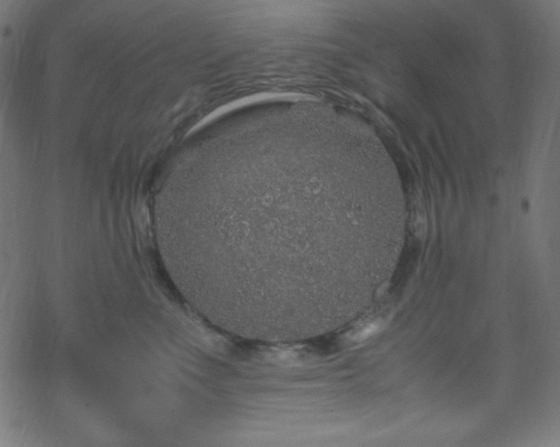 X0000070230523200605301459