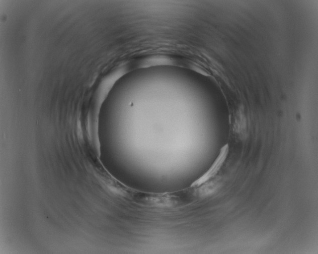 X0000070230524200605301459