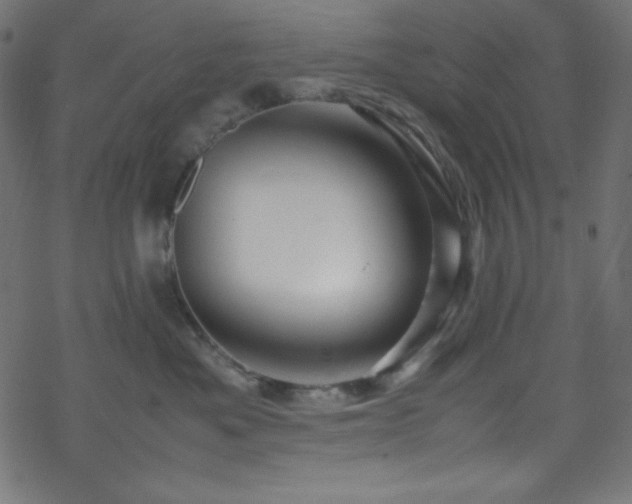 X0000070230525200605301459