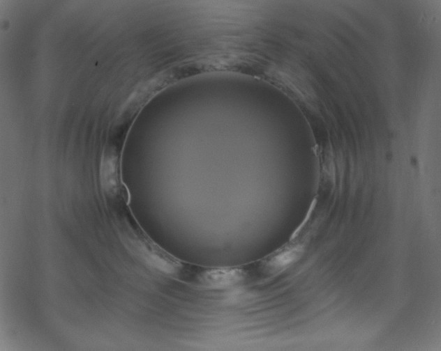 X0000070230526200605301459