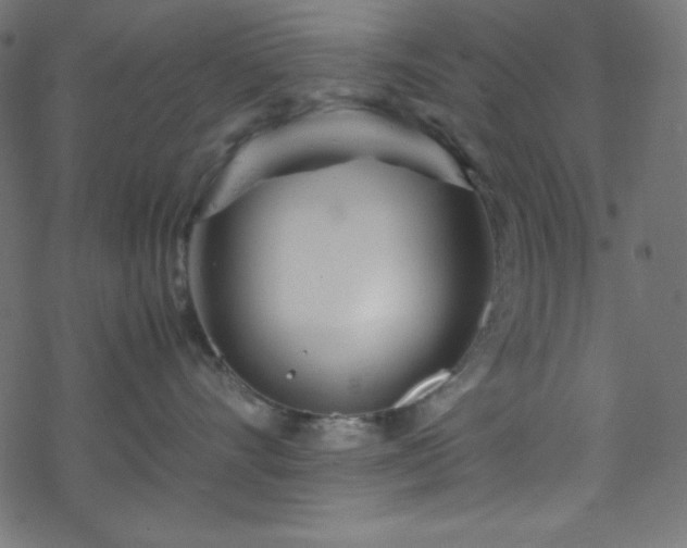 X0000070230528200605301458