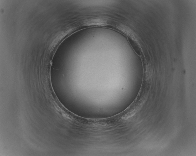 X0000070230529200605301458