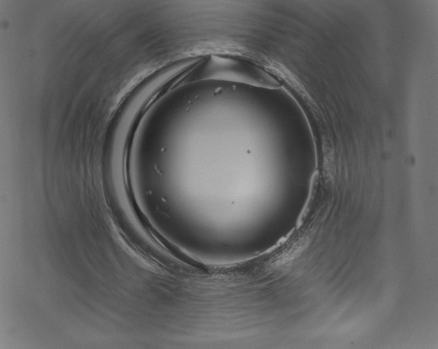 X0000070230530200605301458