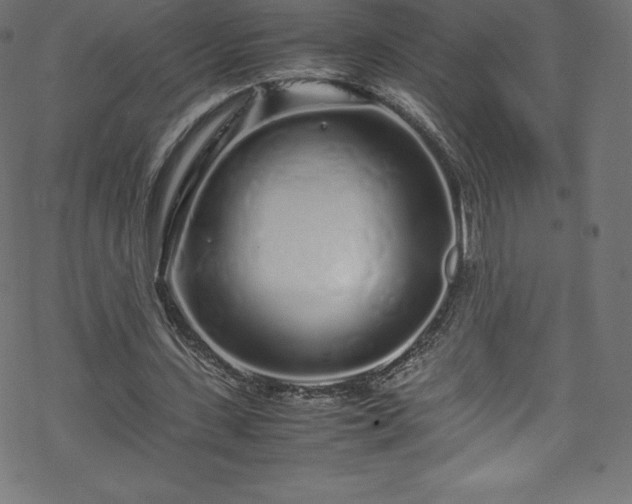 X0000070230531200605301458