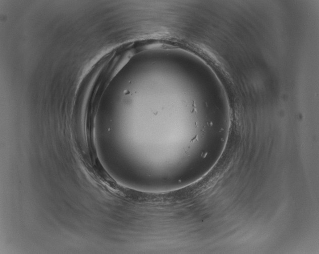 X0000070230532200605301458