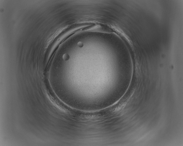 X0000070230533200605301458