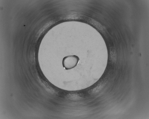 X0000070230534200605301458