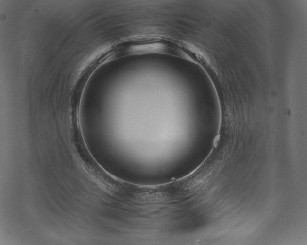 X0000070230535200605301458