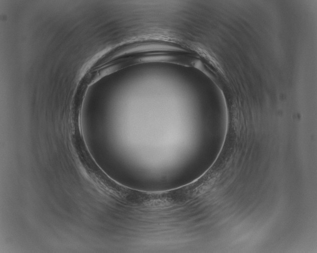 X0000070230536200605301458