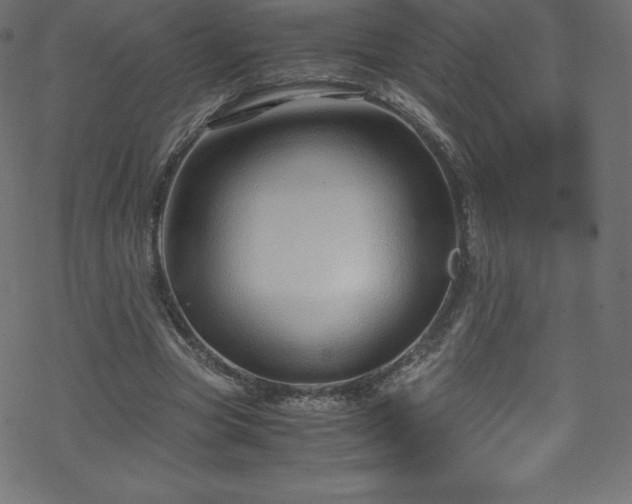 X0000070230537200605301458