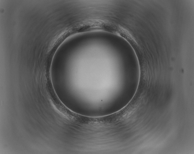 X0000070230538200605301458