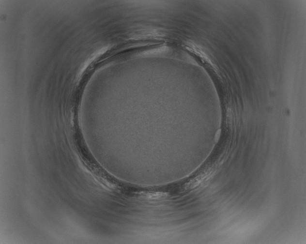 X0000070230539200605301458