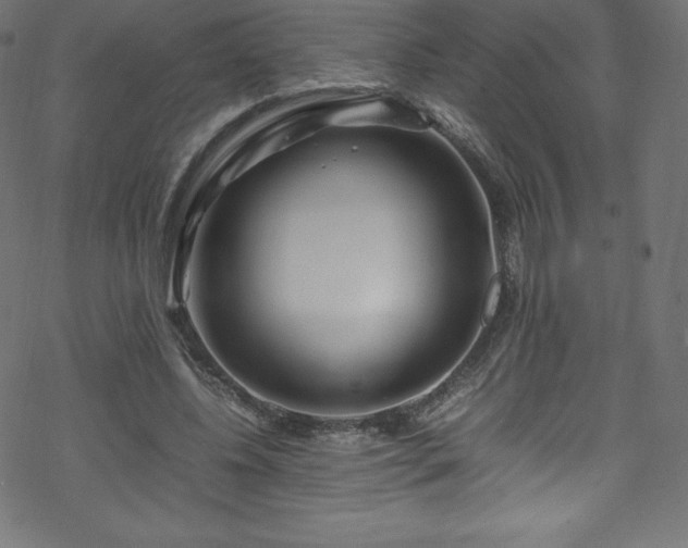 X0000070230540200605301458