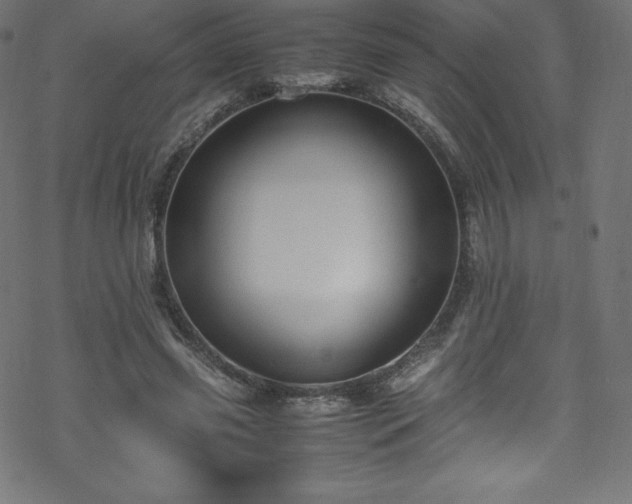 X0000070230541200605301458