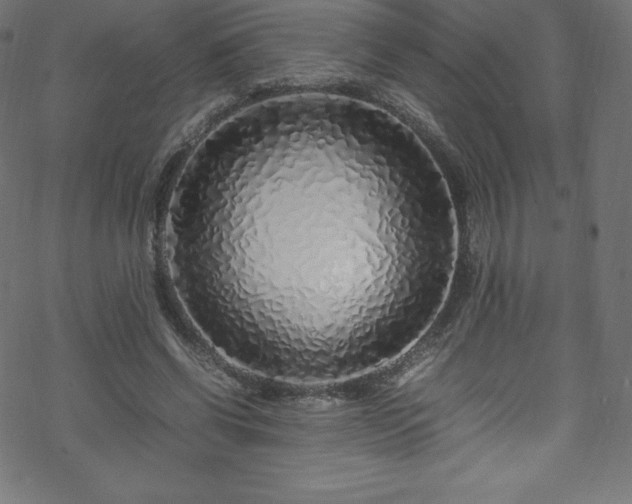 X0000070230542200605301458