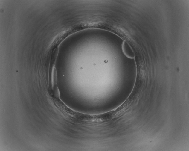 X0000070230543200605301458