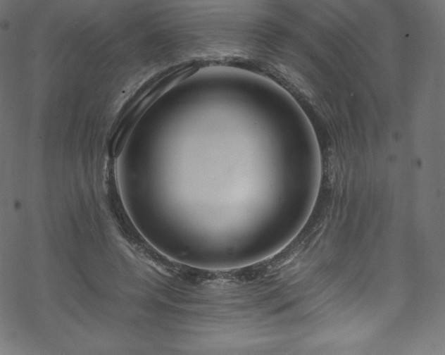 X0000070230544200605301458