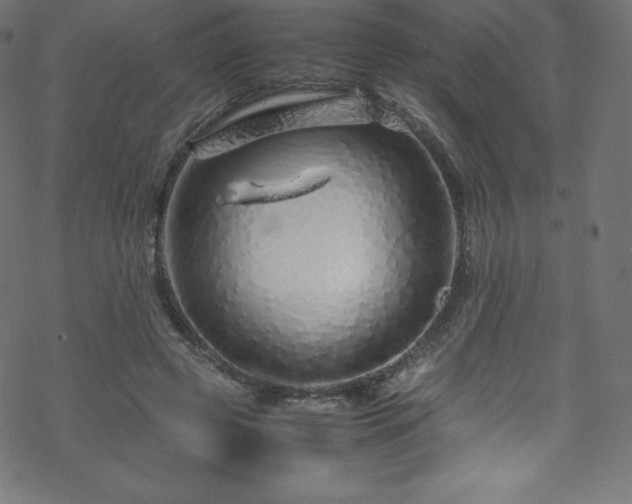 X0000070230545200605301458