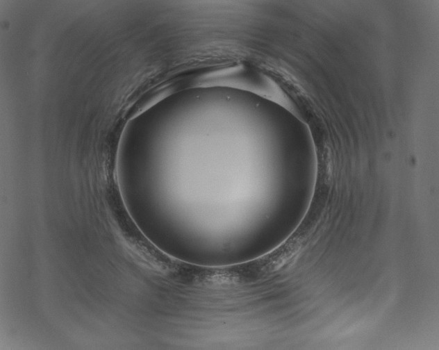 X0000070230546200605301458