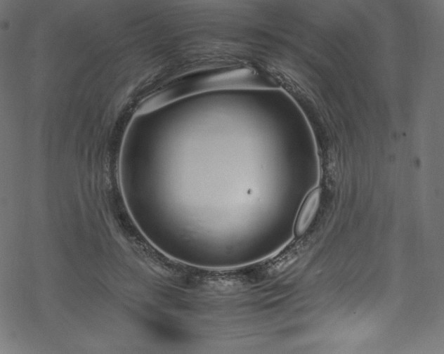 X0000070230547200605301458