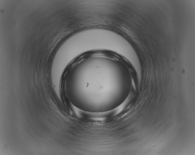 X0000070230548200605301458