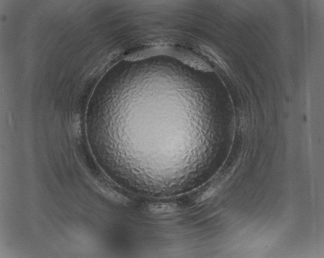 X0000070230549200605301458